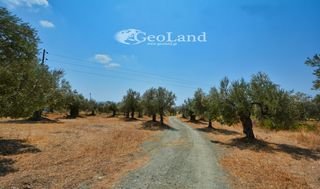 Αγροτεμάχια 5.700 τ.μ. για πώληση, Αργολίδα, Ερμιόνη-thumb-16