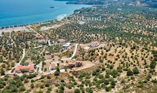 Αγροτεμάχια 5.700 τ.μ. για πώληση, Αργολίδα, Ερμιόνη-thumb-23