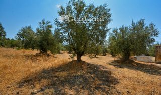 Αγροτεμάχια 5.700 τ.μ. για πώληση, Αργολίδα, Ερμιόνη-thumb-11