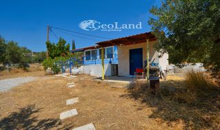 Αγροτεμάχια 5.700 τ.μ. για πώληση, Αργολίδα, Ερμιόνη-thumb-2