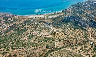 Αγροτεμάχια 5.700 τ.μ. για πώληση, Αργολίδα, Ερμιόνη-thumb-17