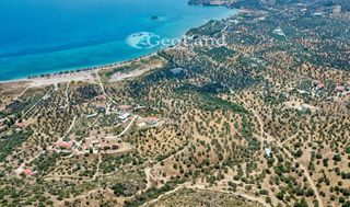 Αγροτεμάχια 5.700 τ.μ. για πώληση, Αργολίδα, Ερμιόνη-thumb-18