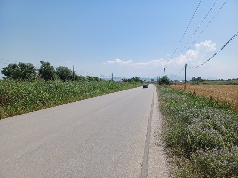 Αγροτεμάχια 9.517 τ.μ. πρός πώληση, Θεσσαλονίκη - Περιφ/Κοί Δήμοι, Εχέδωρος