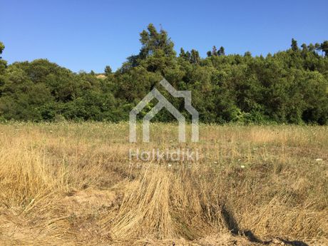 Αγροτεμάχια 3.940τ.μ. για πώληση-Κασσάνδρα » Κασσανδρηνό