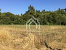 Parcel 3.940sqm for sale-Kassandra » Kassandrino