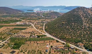Αγροτεμάχια 1.237 τ.μ. για πώληση, Αργολίδα, Ερμιόνη-thumb-18