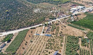 Αγροτεμάχια 1.237 τ.μ. για πώληση