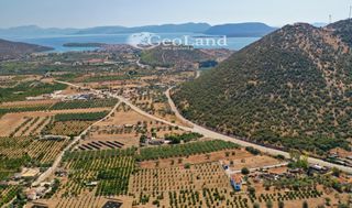 Αγροτεμάχια 1.237 τ.μ. για πώληση, Αργολίδα, Ερμιόνη-thumb-22