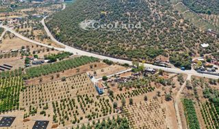 Αγροτεμάχια 1.237 τ.μ. για πώληση, Αργολίδα, Ερμιόνη-thumb-23