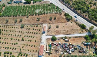 Αγροτεμάχια 1.237 τ.μ. για πώληση, Αργολίδα, Ερμιόνη-thumb-7