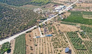 Αγροτεμάχια 1.237 τ.μ. για πώληση, Αργολίδα, Ερμιόνη-thumb-1