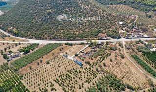 Αγροτεμάχια 1.237 τ.μ. για πώληση, Αργολίδα, Ερμιόνη-thumb-24