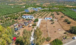 Αγροτεμάχια 1.237 τ.μ. για πώληση, Αργολίδα, Ερμιόνη-thumb-11