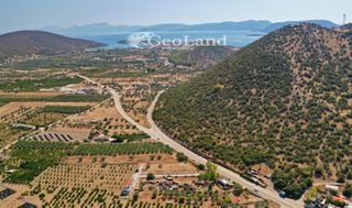 Αγροτεμάχια 1.237 τ.μ. για πώληση, Αργολίδα, Ερμιόνη-thumb-19