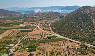 Αγροτεμάχια 1.237 τ.μ. για πώληση, Αργολίδα, Ερμιόνη-thumb-21