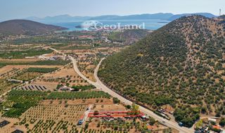 Αγροτεμάχια 1.237 τ.μ. για πώληση, Αργολίδα, Ερμιόνη-thumb-20