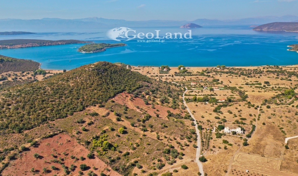 Αγροτεμάχια 10.493 τ.μ. προς πώληση, Φούρνοι Κρανιδίου