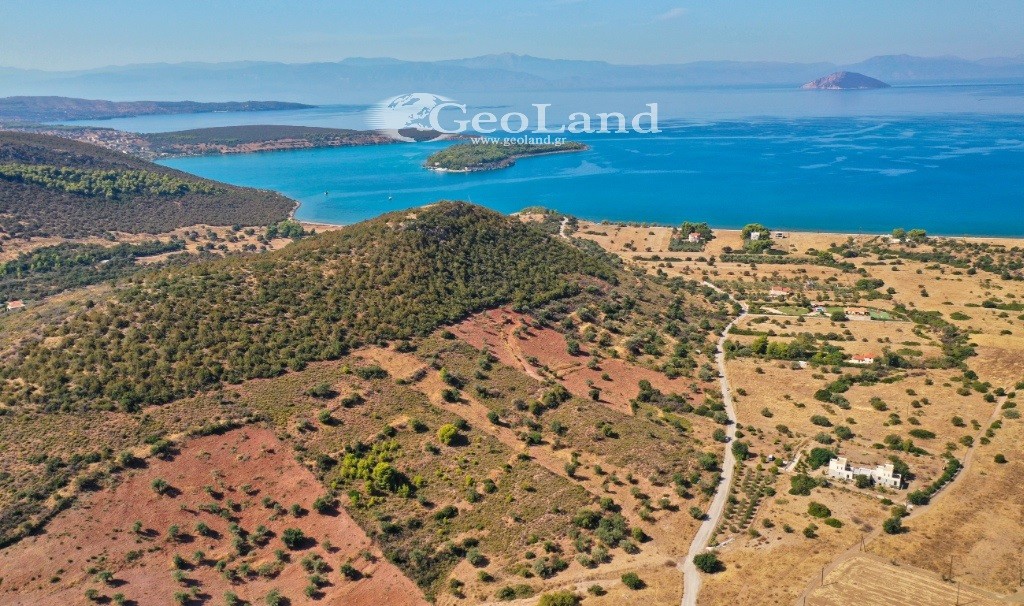 Αγροτεμάχια 10.493 τ.μ. προς πώληση, Φούρνοι Κρανιδίου