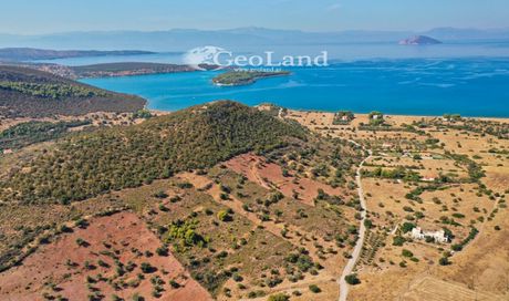 Αγροτεμάχια 10.493 τ.μ. για πώληση