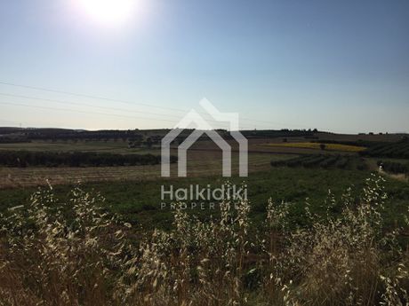 Αγροτεμάχια 5.698τ.μ. για πώληση-Κασσάνδρα » Κασσανδρηνό