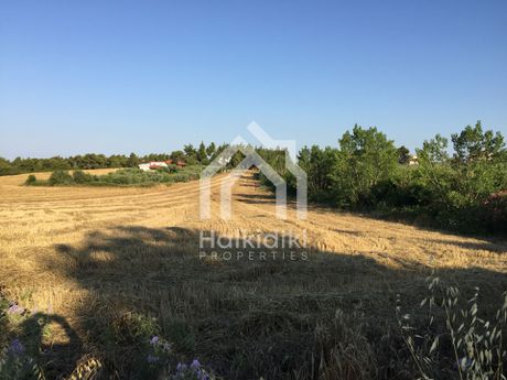 Αγροτεμάχια 8.700τ.μ. για πώληση-Κασσάνδρα » Κασσανδρηνό