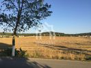 Αγροτεμάχια 11.940τ.μ. για πώληση-Κασσάνδρα » Κασσανδρηνό