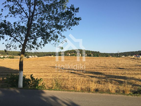 Parcel 11.940 sqm for sale, Chalkidiki, Kassandra