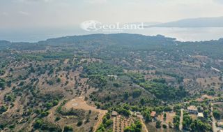 Αγροτεμάχια 4.066 τ.μ. προς πώληση, Πορτοχέλι-thumb-7