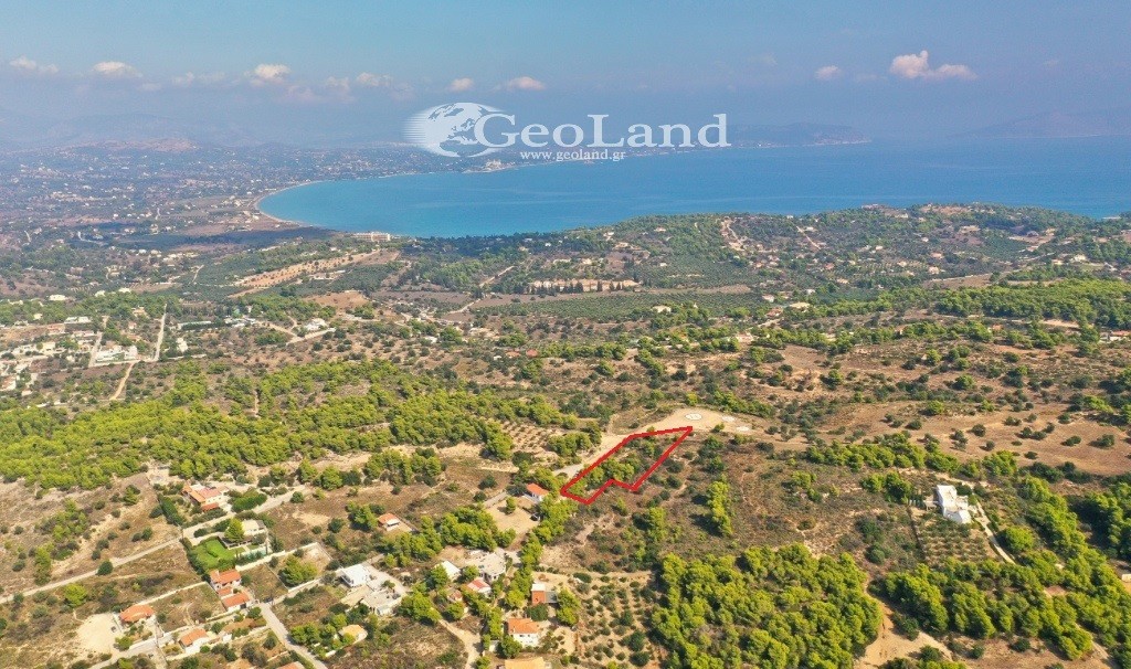 Αγροτεμάχια 4.066 τ.μ. προς πώληση, Πορτοχέλι