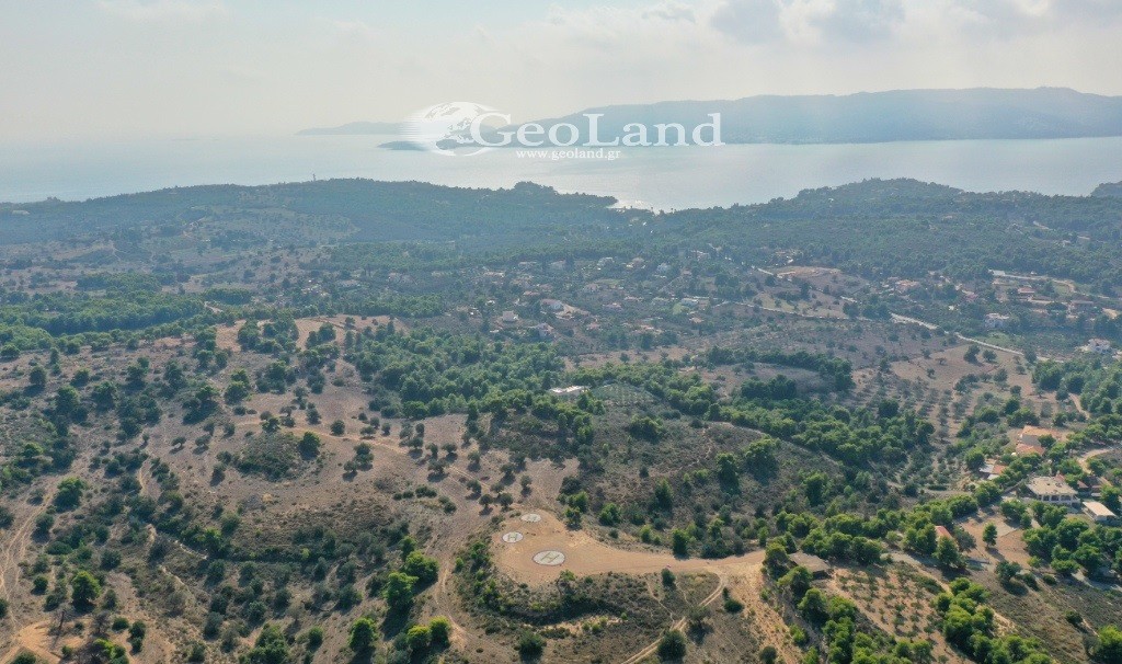Αγροτεμάχια 4.066 τ.μ. προς πώληση, Πορτοχέλι