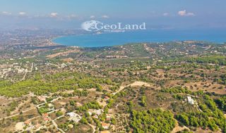 Αγροτεμάχια 4.066 τ.μ. προς πώληση, Πορτοχέλι-thumb-13