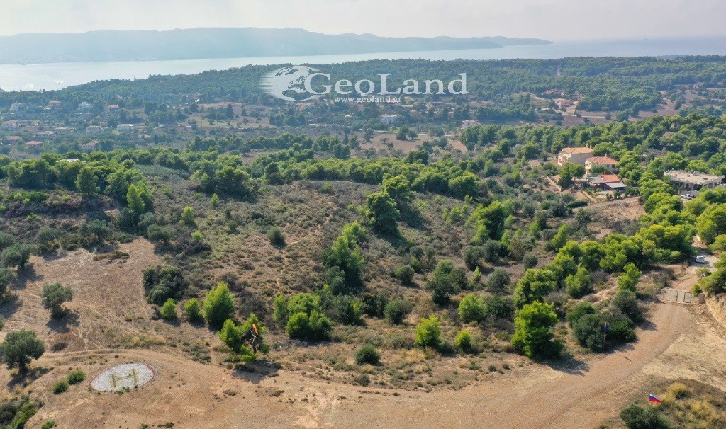 Αγροτεμάχια 4.066 τ.μ. προς πώληση, Πορτοχέλι
