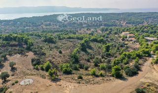 Αγροτεμάχια 4.066 τ.μ. προς πώληση, Πορτοχέλι-thumb-2