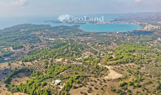 Αγροτεμάχια 4.066 τ.μ. προς πώληση, Πορτοχέλι-thumb-18