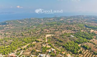 Αγροτεμάχια 4.066 τ.μ. προς πώληση, Πορτοχέλι-thumb-11