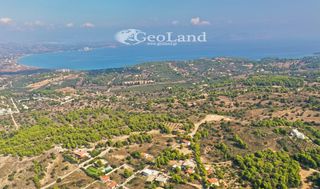 Αγροτεμάχια 4.066 τ.μ. προς πώληση, Πορτοχέλι-thumb-12