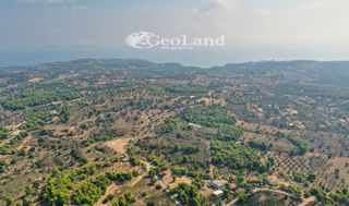 Αγροτεμάχια 4.066 τ.μ. προς πώληση, Πορτοχέλι-thumb-9