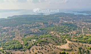 Αγροτεμάχια 4.066 τ.μ. προς πώληση, Πορτοχέλι-thumb-20