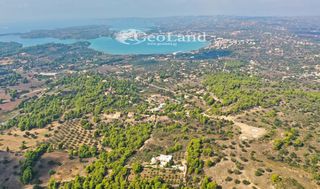 Αγροτεμάχια 4.066 τ.μ. προς πώληση, Πορτοχέλι-thumb-17