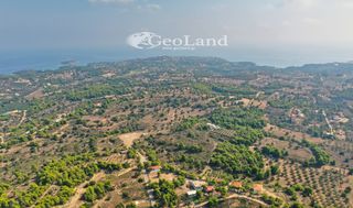 Αγροτεμάχια 4.066 τ.μ. προς πώληση, Πορτοχέλι-thumb-10
