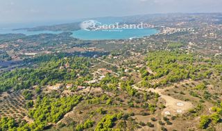 Αγροτεμάχια 4.066 τ.μ. προς πώληση, Πορτοχέλι-thumb-21