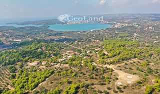 Αγροτεμάχια 4.066 τ.μ. προς πώληση, Πορτοχέλι-thumb-22