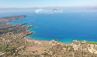 Αγροτεμάχια 4.689 τ.μ. για πώληση