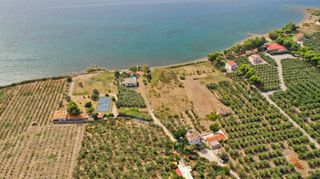Αγροτεμάχια 5.413 τ.μ. για πώληση, Αργολίδα, Ερμιόνη-thumb-14
