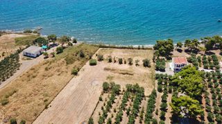 Αγροτεμάχια 5.413 τ.μ. για πώληση, Αργολίδα, Ερμιόνη-thumb-17