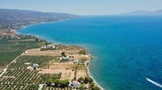 Αγροτεμάχια 5.413 τ.μ. για πώληση, Αργολίδα, Ερμιόνη-thumb-6