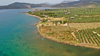 Αγροτεμάχια 5.413 τ.μ. για πώληση, Αργολίδα, Ερμιόνη-thumb-12