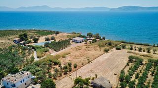 Αγροτεμάχια 5.200 τ.μ. για πώληση