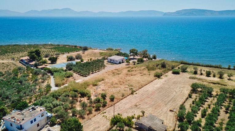Αγροτεμάχια 5.413 τ.μ. για πώληση, Αργολίδα, Ερμιόνη