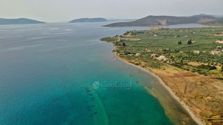 Αγροτεμάχια 5.413 τ.μ. για πώληση, Αργολίδα, Ερμιόνη-thumb-7